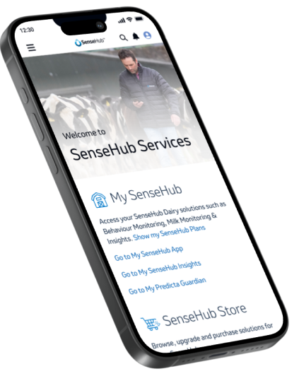 Services - SenseHub NO